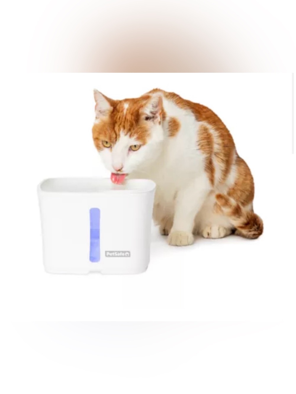 PetSafe® Viva Pet Water Fountain - 1.8L/64 oz - Filters Included